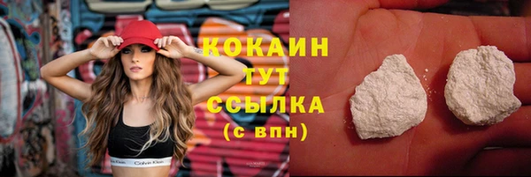 apvp Ельня