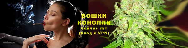 дживик Зеленокумск