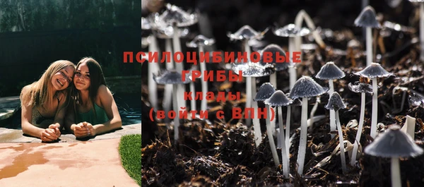 дживик Зеленокумск