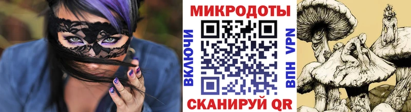 Купить закладки  Курчатов  Галлюциногенные грибы Cubensis 