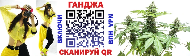 Купить где  Курчатов  Канабис семена 